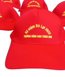 in logo nón kết theo yêu cầu